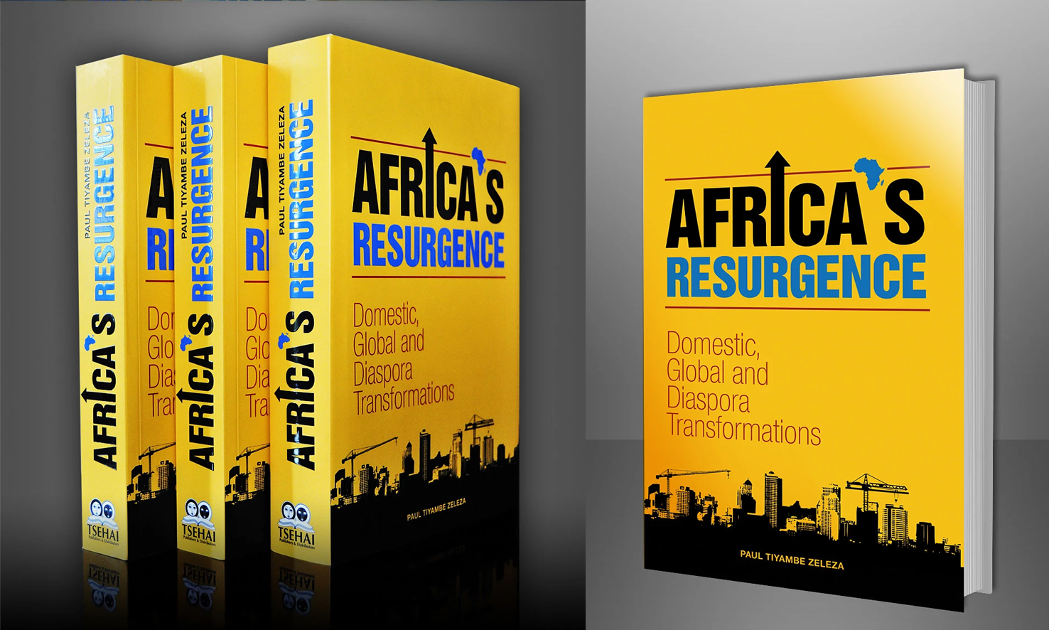 Africa’s Resurgence book cover and multiple-volume portfolio thumbnail